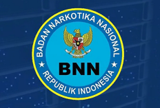 BNN Dorong Larangan Vape dan Pembatasan N2O demi Cegah Penyalahgunaan