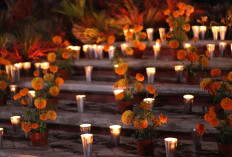 Benarkah Listrik Akan Padam Selama Tujuh Hari Ini Penjelasan Dharma Pongrekun