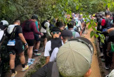 Kronologi dan Penyebab 2 Pelari Siksorogo Lawu Ultra 2025 Meninggal