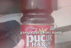 Botol Teh Pucuk Viral di TikTok dan X: Misteri Video 1 Menit 50 Detik yang Bikin Warganet Penasaran Setengah Mati