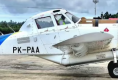 Profil Hendrick Lodewyck Adam Pilot Pelita Air yang Meninggal dalam Kecelakaan Pesawat di Nunukan