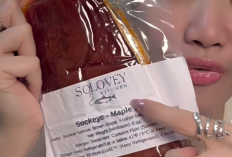 Bagaimana Cara Membuat Salmon Candy yang Benar? Berikut Simak Fakta di Balik Tren yang Sedang Menggemparkan Dunia Kuliner