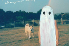 Lirik Terjemahan dan Makna Lagu Scott Street 'Phoebe Bridgers' Cerita Patah Hati Sunyi dan Rasa Asing Usai Berpisah