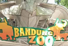 Polemik Bandung Zoo Tak Kunjung Usai, Benarkah Satwa Alami Stres?
