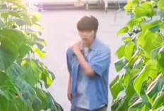 Nonton Drakor Cabbage Your Life Episode 5-6 Sub Indo serta Link dan Spoiler di KST bukan lk21: Soroti Kedekatan Ji Cheon dan Bo Mi