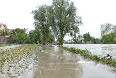 Jakarta Kembali Diguyur Hujan Deras, Transportasi dan Aktivitas Warga Terganggu