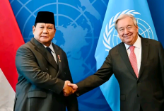 Indonesia Diusulkan Jadi Calon Tunggal Presiden Dewan HAM PBB 2026: Momentum Emas untuk Peran Global di Isu Hak Asasi Manusia