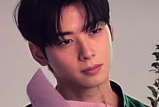 Kasus Dugaan Pajak Rp 233 Miliar, Cha Eun Woo Gandeng Firma Hukum Shin Kim