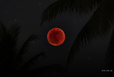 Gerhana Bulan Total 3 Maret 2026 Terlihat di Indonesia, Ini Jadwal Lengkap Fasenya