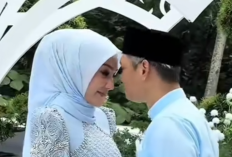 Profil Tampang Ezwan Zain Sosok yang Resmi Menikah dengan Erra Fazira Mantan Istri Engku Emra, Lengkap dari Umur, Agama dan Akun Instagram