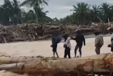 Gus Irawan Pasaribu Bupati Tapanuli Selatan Blak-blakan Soal Pembalakan Hutan Pasca Banjir Bandang: Sudah Surati Menteri Sejak Juli!