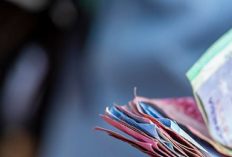 Tutorial Cek Bansos PKH dan BPNT Februari 2026 Beserta Rincian Nominal Bantuan