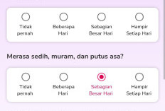 Viral Tiktok Test Kesehatan Mental Halodoc Berikut Link dan Pantau Seberapa Stress Anda - Kalau Parah Bisa Langsung Direkomendasikan Pskiater atau Psikolog