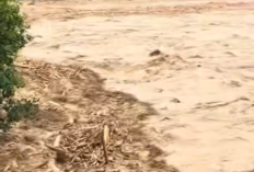 Update! Tragedi Banjir Bandang dan Longsor di Sumatera Utara: Lebih dari 60 Jiwa Melayang, Ribuan Warga Mengungsi