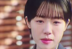 Pro Bono Episode 10 Sub Indo dan Spoiler serta Link Bukan LK21 tapi di Netflix: Konflik Internal Memanas, Solidaritas Tim Teruji