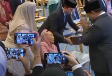 10 Tokoh Diangkat Sebagai Pahlawan Nasional 2025: Biografi Singkat & Jejak Perjuangan