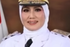 Profil Tampang Hellyana Wakil Gubernur Bangka Belitung yang Ditetapkan Sebagai Tersangka Kasus Ijazah Palsu: Umur, Agama dan Akun IG