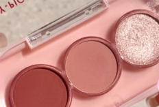 Apa Arti Kalazion pada Pengguna Eyeshadow PinkFlash? Begini Penyebab dan Penjelasannya?