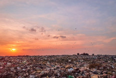 TPA Suwung Bali Akan Ditutup Permanen pada Februari 2026: Apa Itu Open Dumping dan Mengapa Sistem Ini Dilarang?