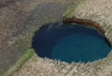Fenomena Sinkhole Mengguncang Persawahan di Sumbar: Lubang Raksasa Muncul Tiba-Tiba, Warga Heboh!