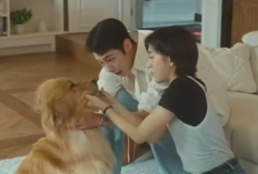 Last Summer Episode 9 sub Indo dan Spoiler serta Link Bukan LK21 tapi di VIKI: Daftar Aturan Ketat Ha Gyeong, Dari Privasi hingga Batas Interaksi