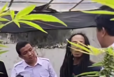 SOSOK Rama Petani Petani Ganja dengan Teknologi Greenhouse yang Gemparkan Warga Jombang, Ternyata Warga Surabaya 