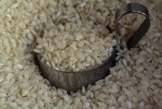 Stok Beras Aman Hingga April 2026: Pemerintah Jamin Ketersediaan Pangan Selama Nataru dan Masa Pemulihan Bencana