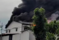 Tragedi di Jombang: Gudang Pabrik Boneka Plastik Ludes Dilalap Si Jago Merah, Kerugian Miliaran Rupiah Diduga Terjadi