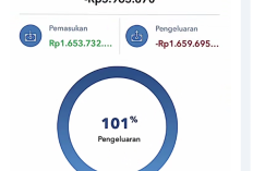 BRImo Wrapped 2025: Viral di TikTok, Ini 2 Cara Cek Total Pengeluaran dan Pemasukan Akhir Tahun