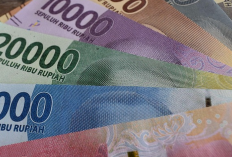 Bansos Februari 2026 Cair, Ini Cara Cek BPNT, PKH, dan PBI BPJS Pakai KTP