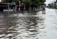 Banjir Melanda Bali: Denpasar dan Badung Terendam, Satu Korban Jiwa, Ratusan Warga Mengungsi