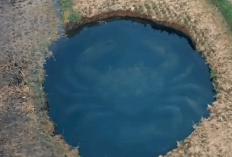 Apa Itu Sinkhole? Fenomena Persawahan di Sumbar yang Muncul Tiba-Tiba, Hingga Airnya Dibuat Rebutan Para Warga