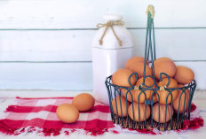 Apa Itu Telur Infertil? Benarkah Aman Dikonsumsi Setiap Hari? 