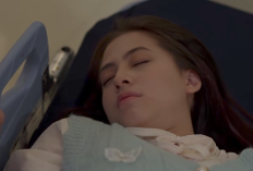 YA ALLAH! Beri Cinta Waktu Melesat ke Posisi Tiga, Inilah Rating TV dan Sinetron Terpopuler Hari ini 24 Oktober 2025