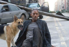 Jadwal Bioskop Trans TV  19 -  22 Februari 2026