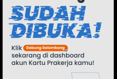 Berapa Besaran Intensif Prakerja Tahun 2024 Gelombang 63? Catat Rincian, Cara Daftar, Persyaratan hingga Jadwal Pembukaan dan Linknya di Sini