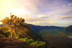 Wisata Gunung Bromo Ditutup Sepekan untuk Pemulihan Ekosistem Kawasan Konservasi