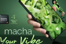 Resmi Diluncurkan! Inilah Spesifikasi dan Harga Advan Macha Terbaru Bakal jadi Saingan Redmie dan Samsung