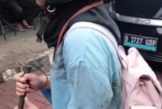 TransJakarta Cares Gagal Lindungi Penyandang Disabilitas, Pramono Anung Janji Evaluasi Total dan Tegur Direksi