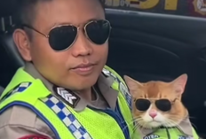 Polisi Kucing Oranye Ikut Patroli Arus Mudik di Bogor, Briptu Yunaz Berharap Bisa Bertemu Bobby Kertanegara