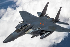 Mengejutkan! Hasil Analisis Visual Menunjukkan Perbedaan Dimensi Su-27 vs F-16, Seperti Bayi dan Raksasa?