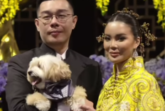 Profil Tampang Vincent Mergonoto Bos Kapal Api yang Resmi Menikah dengan Melissa Tanojo Pemilik Saber Industries: Umur, Agama dan Akun IG