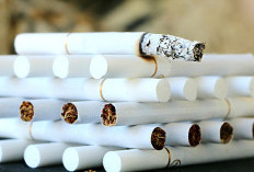 Mengapa Saham Gudang Garam Anjlok 89%? Benarkah Perusahaan Rokok Legendaris Ini Bangkrut dan PHK Massal?