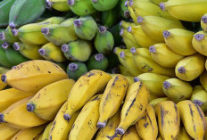 Dua Jajanan Indonesia Raja Dessert Asia: Pisang Goreng dan Klepon Guncang Dunia Kuliner