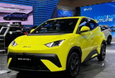 Avanza Kembali Jaya, Atto 1 Tergeser, dan Kejutan dari Vietnam! Inilah Mobil Terlaris Di Januari 2026