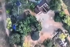 Konflik Perbatasan Thailand–Kamboja Memanas: 500 Ribu Warga Mengungsi, Pendidikan Terganggu, dan SEA Games Terguncang