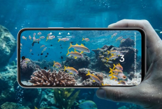 Oppo A6s Meluncur di Indonesia dengan Kamera 50 MP dan Baterai 7.000 mAh, Jadi Midrange Menarik di Harga Rp5 Jutaan