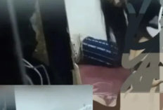 Link Video Ibu Kost Rudapaksa Anak Kos di Halmahera Viral, Ini Kronologinya!