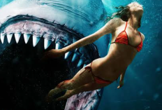 Jadwal Bioskop Trans TV  14 Mei – 18 Mei 2025