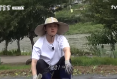 Sinopsis GBRB: Reap What You Sow Episode 6 Bukan VIU,  Cha Tae Hyun Makin Gesrek! Kyungsoo, Kwangso, Woo Bin Kibang Mukbang Teruss